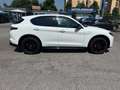 Alfa Romeo Stelvio Stelvio 2023 2.2 t Veloce Q4 210cv auto Bianco - thumbnail 5