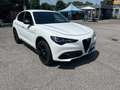 Alfa Romeo Stelvio Stelvio 2023 2.2 t Veloce Q4 210cv auto Bianco - thumbnail 4