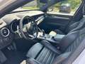 Alfa Romeo Stelvio Stelvio 2023 2.2 t Veloce Q4 210cv auto Bianco - thumbnail 14