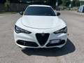 Alfa Romeo Stelvio Stelvio 2023 2.2 t Veloce Q4 210cv auto Bianco - thumbnail 7