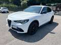 Alfa Romeo Stelvio Stelvio 2023 2.2 t Veloce Q4 210cv auto Bianco - thumbnail 1