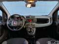Fiat Panda 1.2 Easy Bleu - thumbnail 6