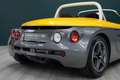Renault Spider 2.0 | Windshield | JAUNE IRISÉ Gelb - thumbnail 47