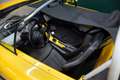 Renault Spider 2.0 | Windshield | JAUNE IRISÉ Gelb - thumbnail 38