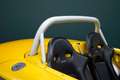 Renault Spider 2.0 | Windshield | JAUNE IRISÉ Gelb - thumbnail 24