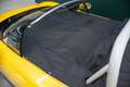 Renault Spider 2.0 | Windshield | JAUNE IRISÉ Gelb - thumbnail 36