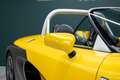 Renault Spider 2.0 | Windshield | JAUNE IRISÉ Gelb - thumbnail 43
