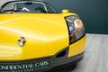 Renault Spider 2.0 | Windshield | JAUNE IRISÉ Gelb - thumbnail 40