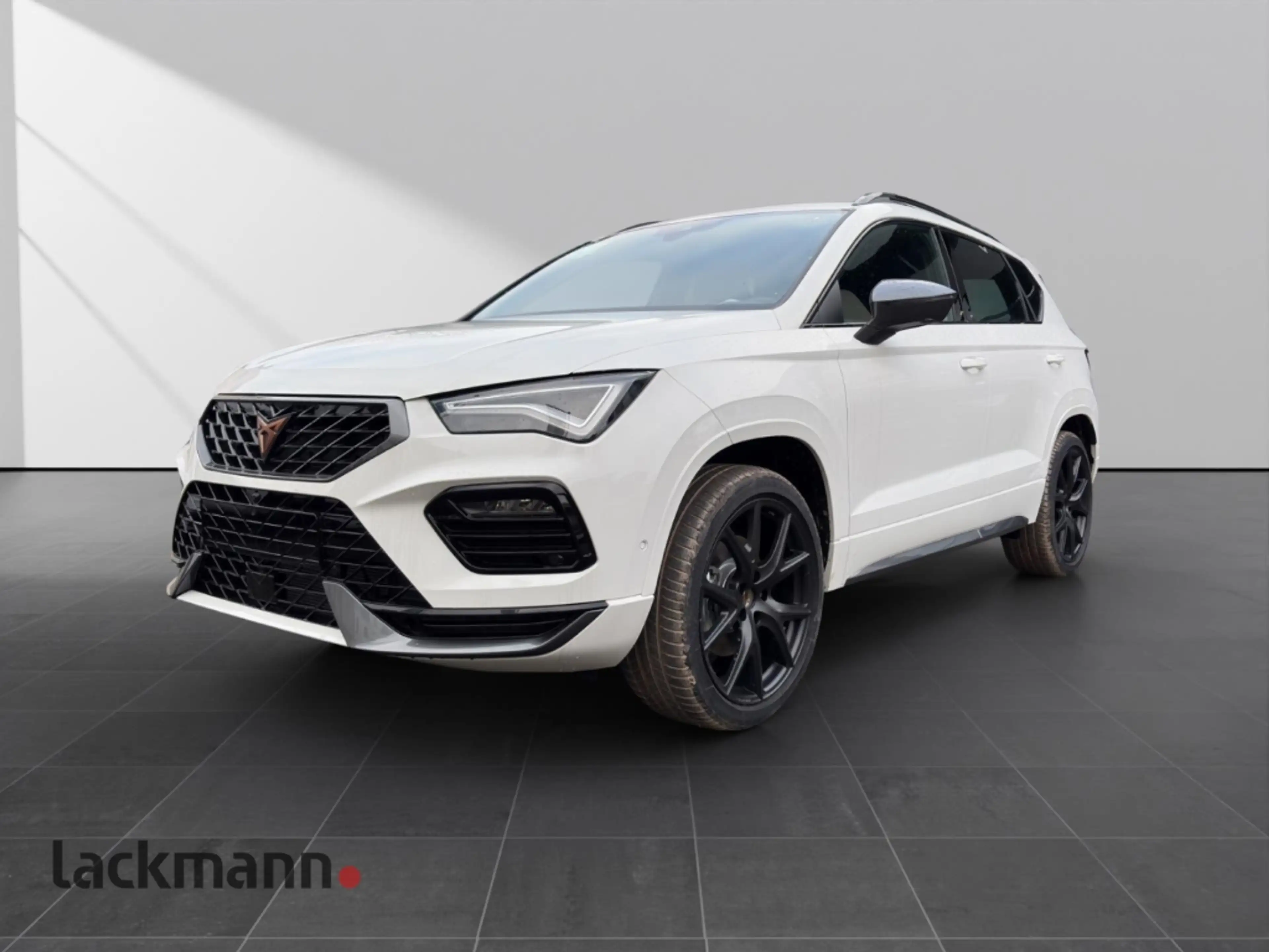 CUPRA Ateca 2.0 TSI *360*SHZ*Navi*el.Heckklappe*LED* — photo 12