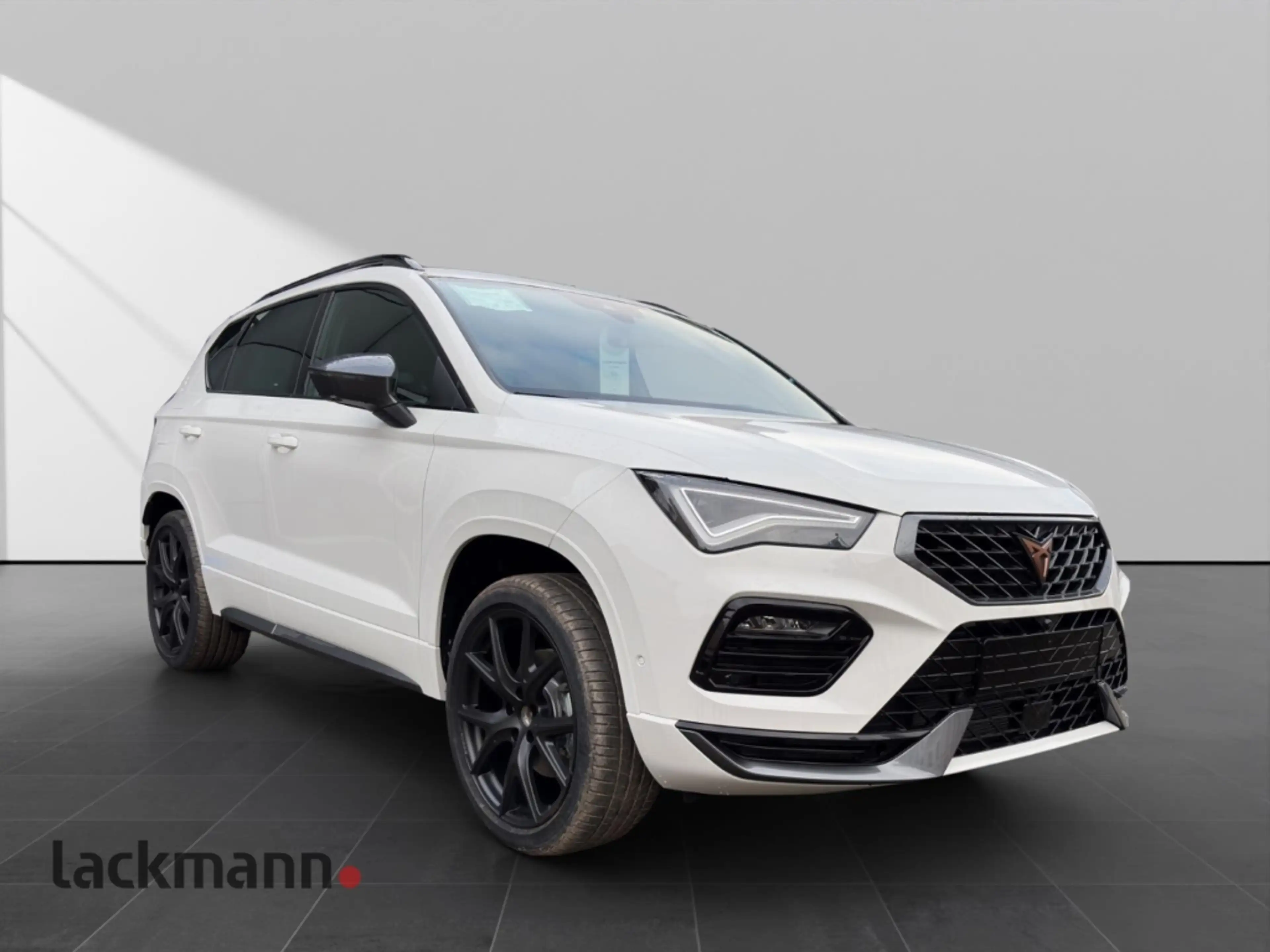 CUPRA Ateca 2.0 TSI *360*SHZ*Navi*el.Heckklappe*LED* — photo 14