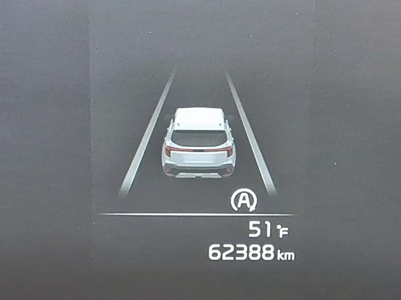 Kia Seltos снимка Kia Seltos