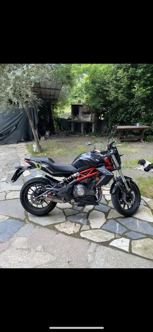 Benelli BN 302 - 1