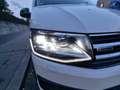 Volkswagen T6 California California Ocean 2,0 TDI ### NEUEN Motor ### 4Motion BMT DSG Weiß - thumbnail 9