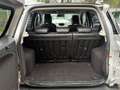 Ford EcoSport 1.5 TDCI 95CH FAP TITANIUM Grau - thumbnail 10