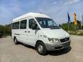 Mercedes-Benz Sprinter 311 CDI - 9 SITZER - KLIMA PICKERL - thumbnail 1