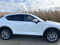 Mazda CX-5 Sports-Line AWD Weiß - thumbnail 2