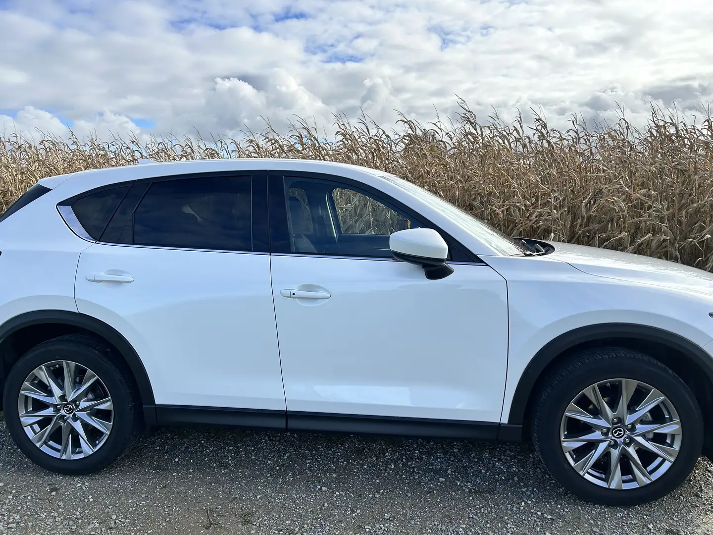Mazda CX-5 Sports-Line AWD Weiß - 2