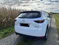 Mazda CX-5 Sports-Line AWD Weiß - thumbnail 3