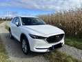 Mazda CX-5 Sports-Line AWD Weiß - thumbnail 1