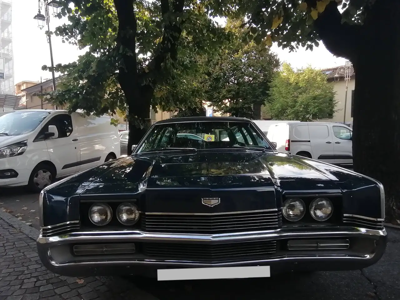 Mercury Marquis Colony Park, foto 5