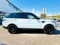 Land Rover Range Rover Sport HSE Dynamic*Pano*Sitzclima*Cam Blanc - thumbnail 8