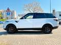 Land Rover Range Rover Sport HSE Dynamic*Pano*Sitzclima*Cam Blanc - thumbnail 9
