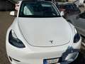 Tesla Model Y Model Y 2021 Long Range Dual Motor awd Bianco - thumbnail 8