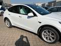 Tesla Model Y Model Y 2021 Long Range Dual Motor awd Bianco - thumbnail 7