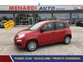 Fiat Panda 1.0 FireFly Hybrid Icon + 5 POSTI + CITY + PARK Rot - thumbnail 1