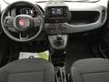 Fiat Panda 1.0 FireFly Hybrid Icon + 5 POSTI + CITY + PARK Rot - thumbnail 6