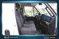Iveco Daily 35S16V L2H2 Euro6 Himatic Automaat ✓3-zits ✓imperi Wit - thumbnail 3
