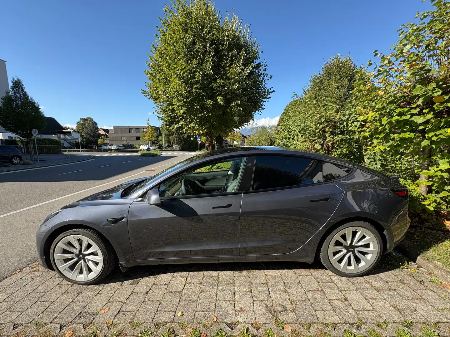 Tesla Model 3 Model 3 Long Range AWD 75kWh Grau - 2