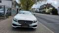 Mercedes-Benz E 220 E -Klasse T-Modell E 220 d ,Autom,PANORAMA Blanc - thumbnail 2
