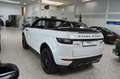 Land Rover Range Rover Evoque Cabrio  2.0 TD4 EU6, HSE Dyn. Weiß - thumbnail 6