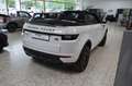 Land Rover Range Rover Evoque Cabrio  2.0 TD4 EU6, HSE Dyn. Weiß - thumbnail 7