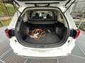 Mitsubishi Outlander 2.4 PHEV Intense+ | Navigatie | Schuifkanteldak | Wit - thumbnail 9