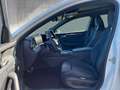 Volkswagen Passat Variant Sport TDI DSG Weiß - thumbnail 8