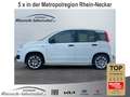Fiat Panda 0.9 TwinAir Klima 1.Hd PDC Start-Stop Alufelgen Ko Blanc - thumbnail 1