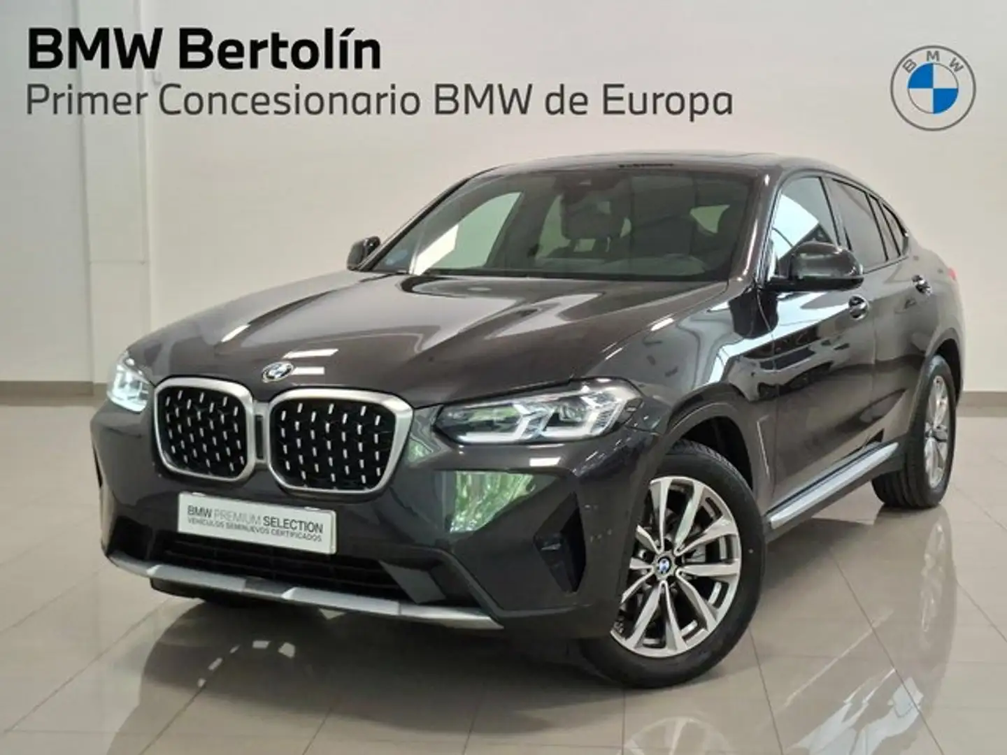 BMW X4 xDrive 20dA xLine Gris - 1