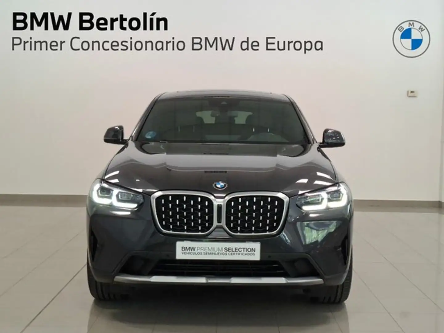 BMW X4 xDrive 20dA xLine Gris - 2
