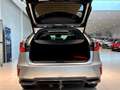Lexus RX 450h 4WD Luxury Line | Panorama/schuifdak | Volleder | Gris - thumbnail 31