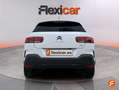 Citroen C4 Cactus 1.5BlueHDi S&S Shine 100 Blanco - thumbnail 7