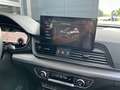 Audi Q5 40 TDI Quattro Advanced LED ACC Shz AHK Grün - thumbnail 16