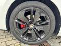 Skoda Octavia RS 2.0 TDI DSG ACC eHECK HEADUP MATRIX Weiß - thumbnail 10