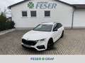 Skoda Octavia RS 2.0 TDI DSG ACC eHECK HEADUP MATRIX Weiß - thumbnail 1