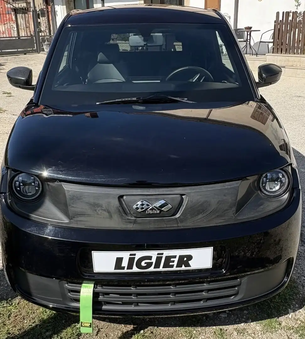 Ligier Myli Noir - 1