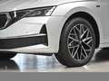 Skoda Octavia Combi 2.0TDI DSG Tour AHK ACC PDC NAV RFK Silber - thumbnail 6