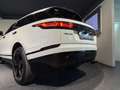 Land Rover Range Rover Velar Allrad R-Dynamic HSE Aut. / PANORAMA / LEDER / N Wit - thumbnail 14