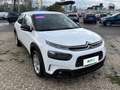 Citroen C4 Cactus PureTech 110 S&S Feel Bianco - thumbnail 5