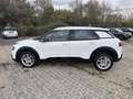 Citroen C4 Cactus PureTech 110 S&S Feel Bianco - thumbnail 2